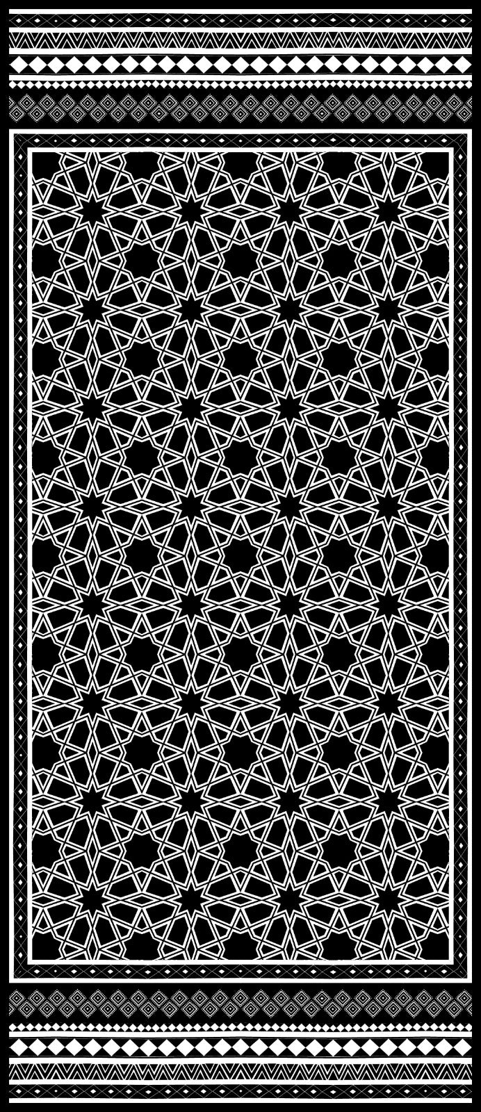 Prismatic Spirit (Black) Dupatta