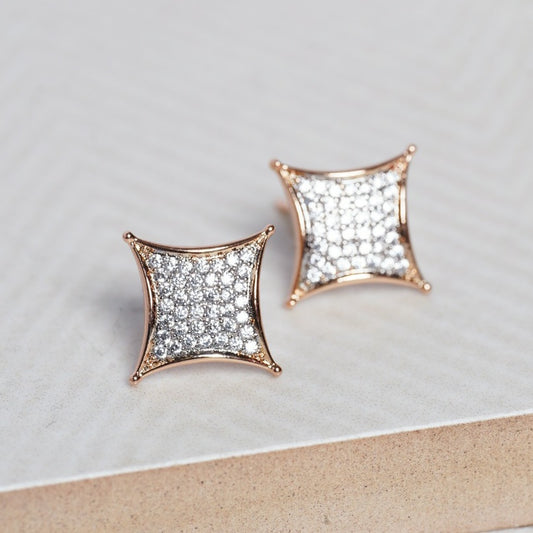 Sparkle Ear Studs